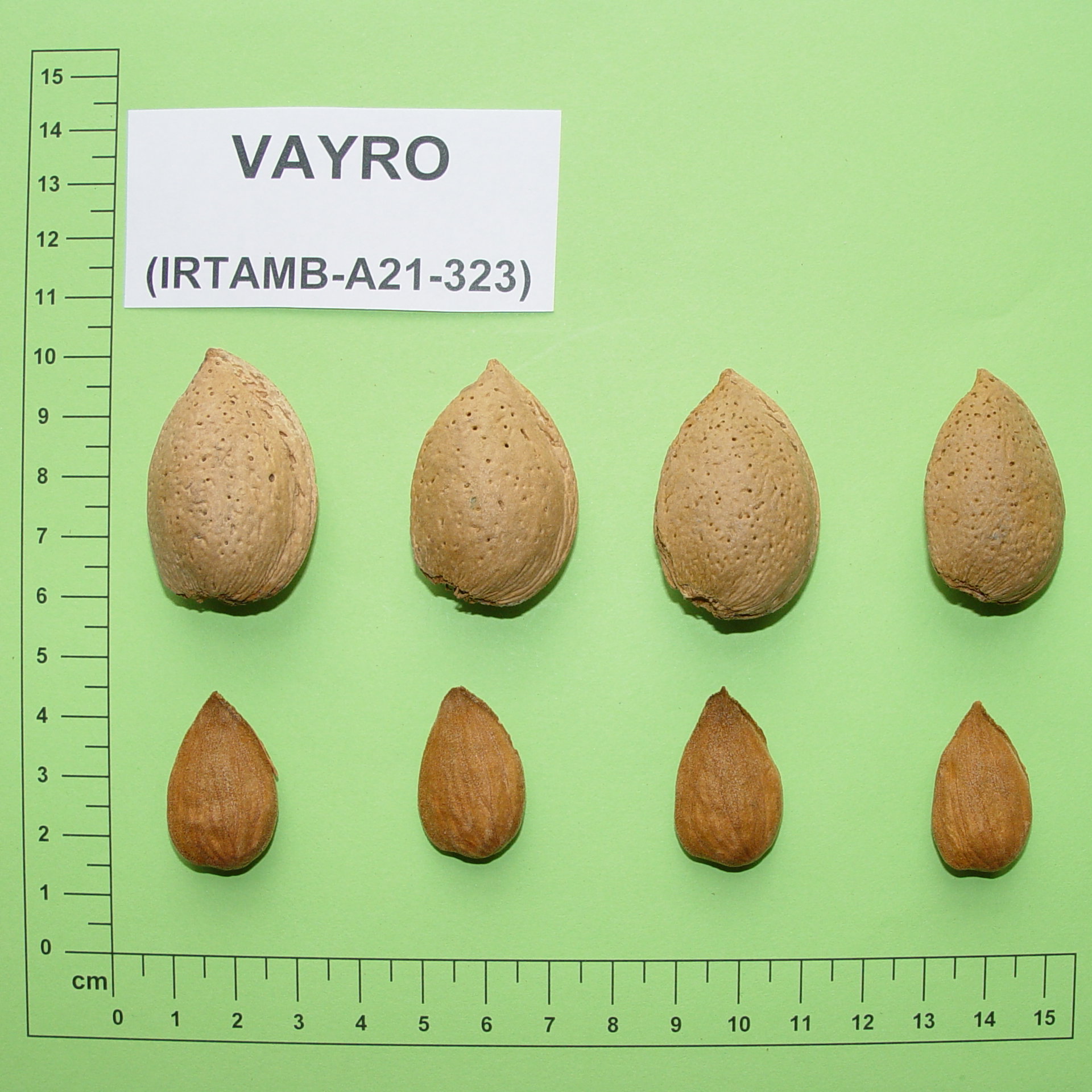 Vairo